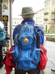 Pilgrim in Santiago